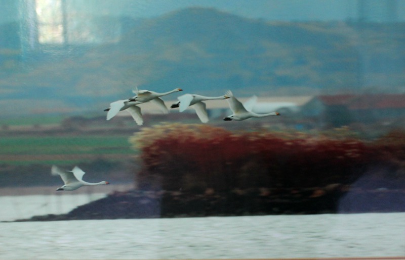 IMG_8734.JPG