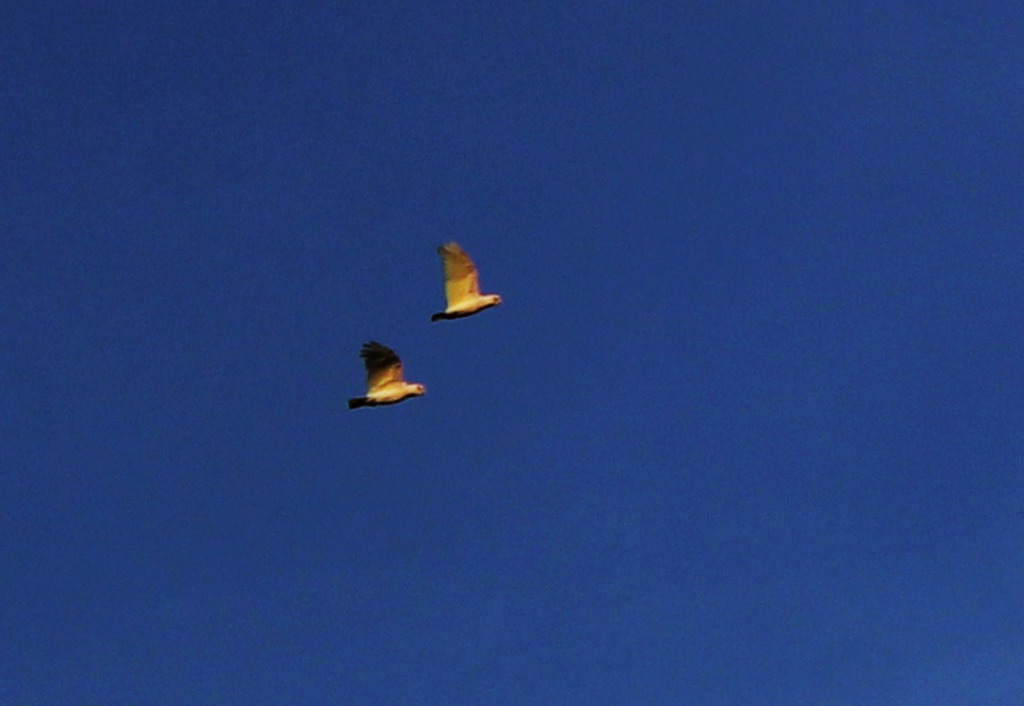 06.jpg