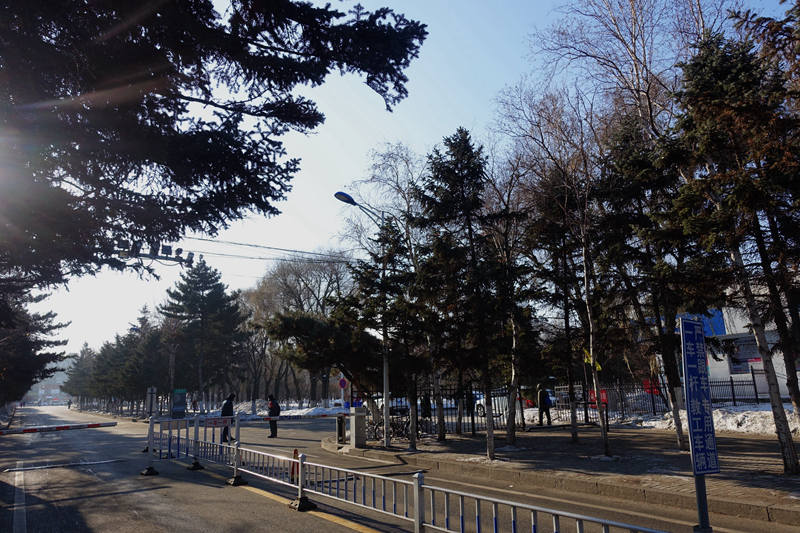 DSC09024.jpg