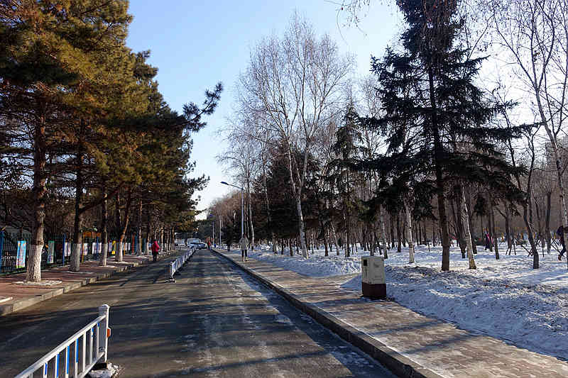 DSC09010.JPG