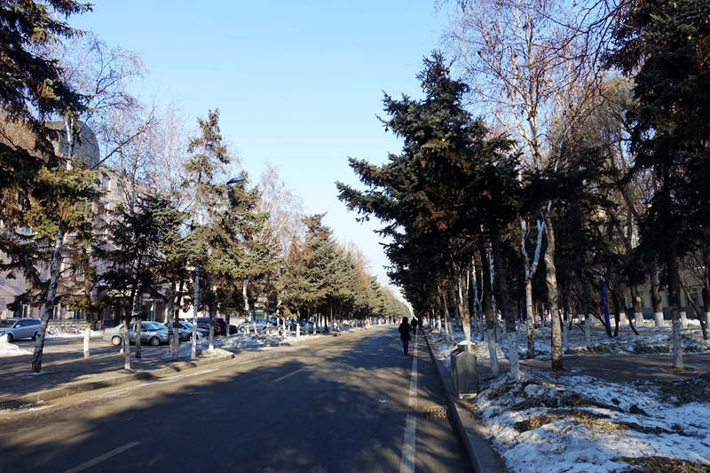 DSC09023.jpg