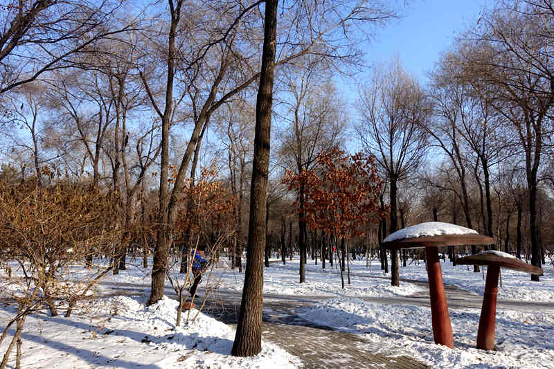 DSC09000.JPG