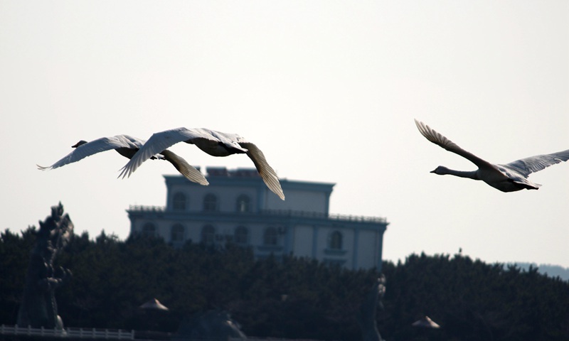 IMG_1903_.jpg