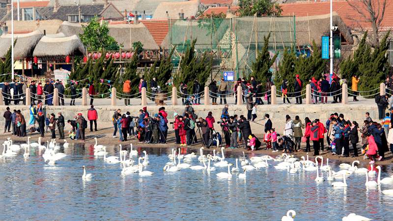 IMG_1451.JPG