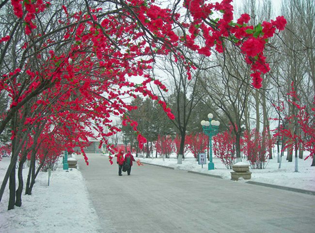 1-DSCN1145-3.jpg