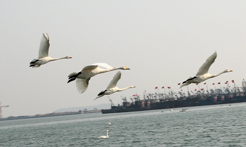 IMG_5956_2345ͼ_.jpg