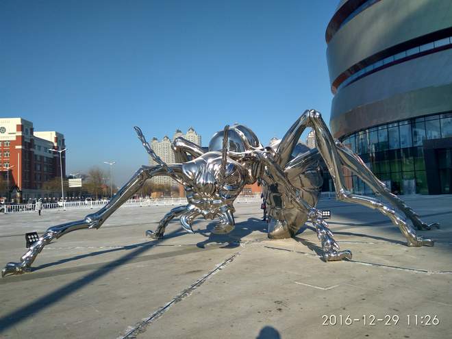 IMG_20161229_112657_HDR.jpg