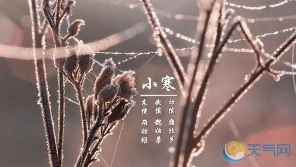 QoMD_170104015933_3.jpg