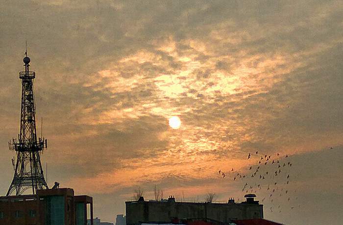 IMG_20170103_144914_HDR_.jpg