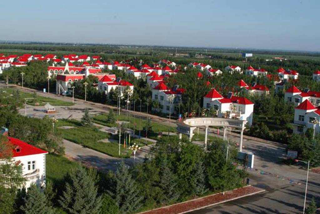05.jpg