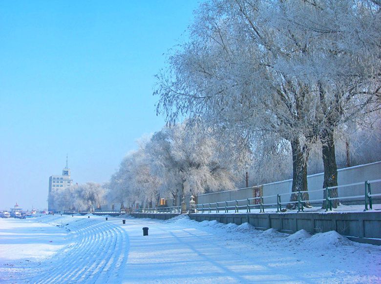 0-DSCN4043-3.jpg