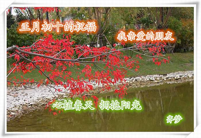 IMG_0430__.jpg