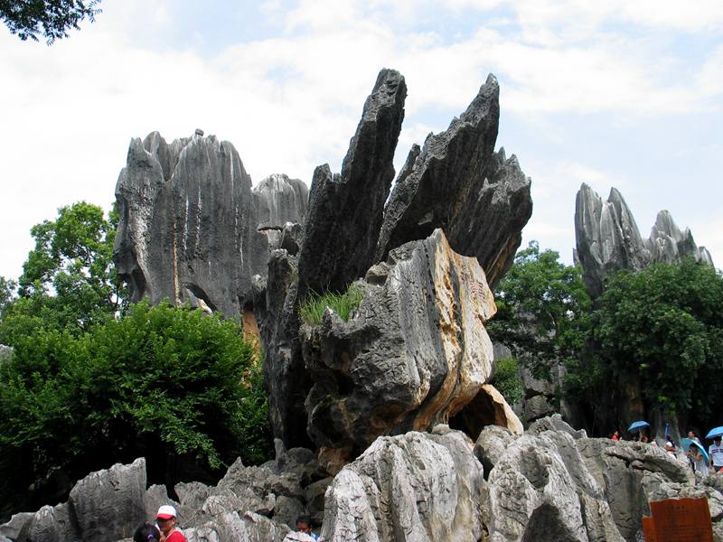 Ƭ09-8013 225.jpg