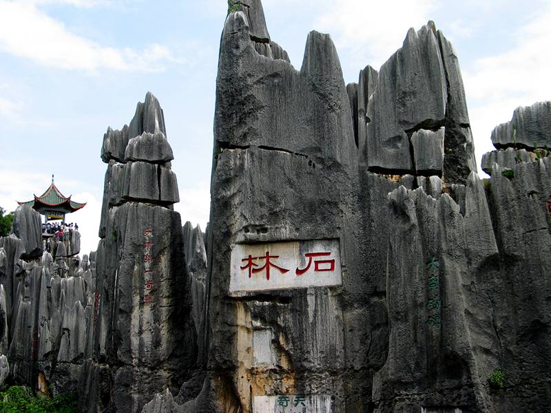 Ƭ09-8013 233.jpg