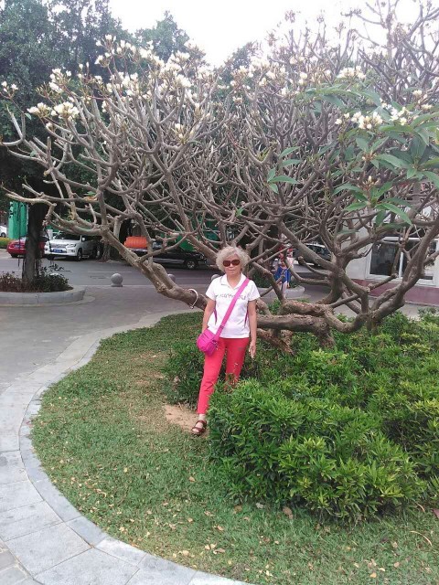 conew_mmexport1488121539980.jpg