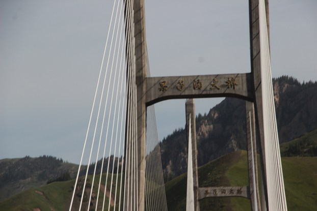 IMG_5262.JPG