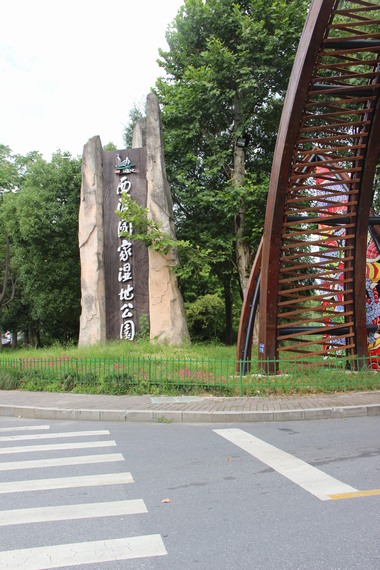 437.JPG