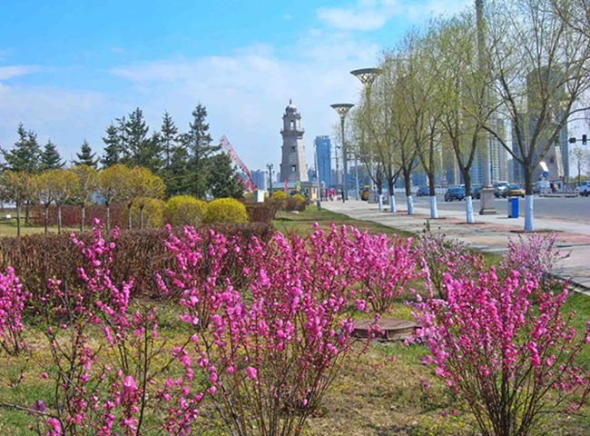 0-DSCN1528-3.jpg