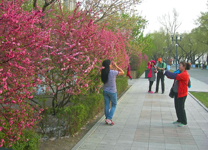 1-DSCN3280-3.jpg