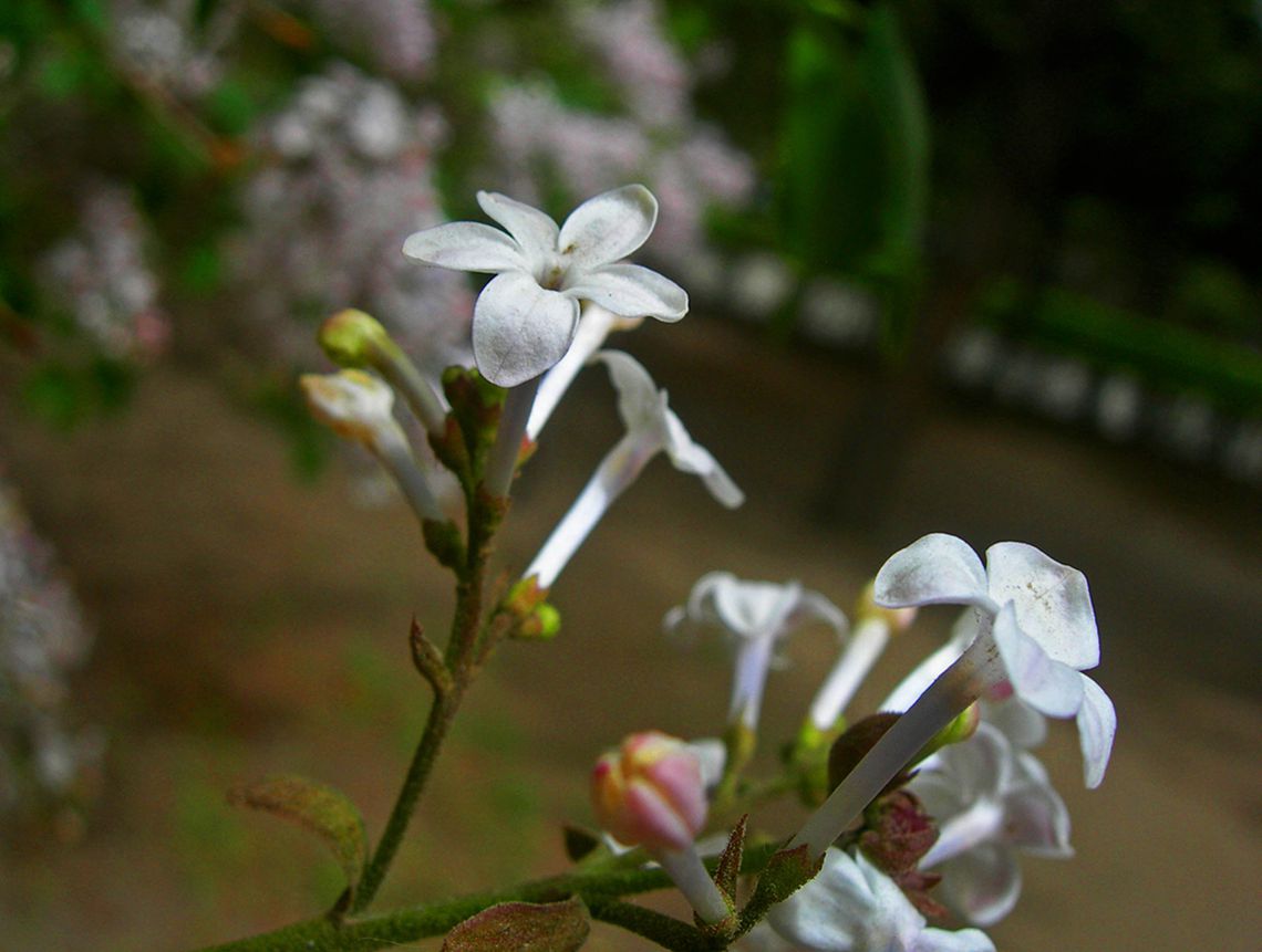0-DSCN4205-3.jpg