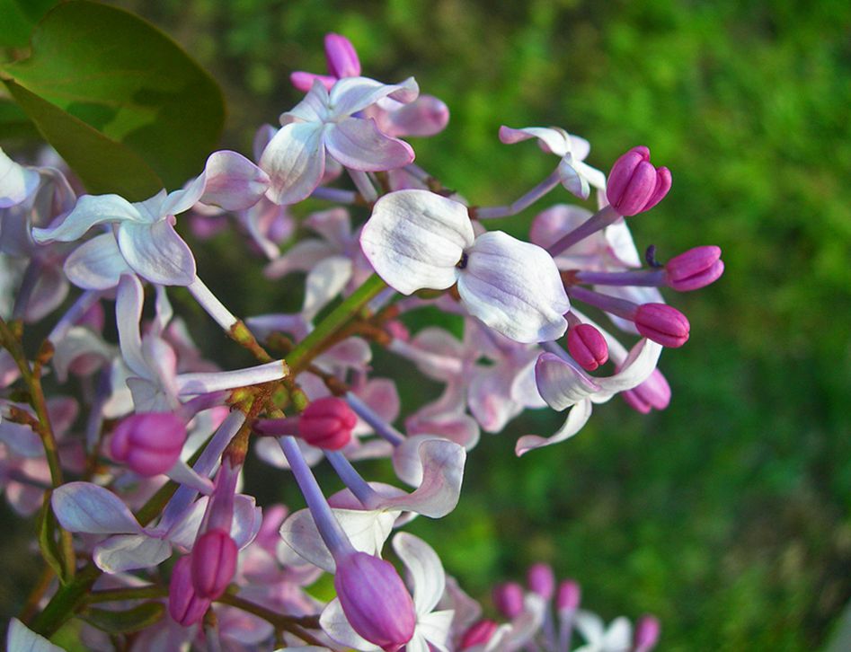 1-DSCN4801-3.jpg
