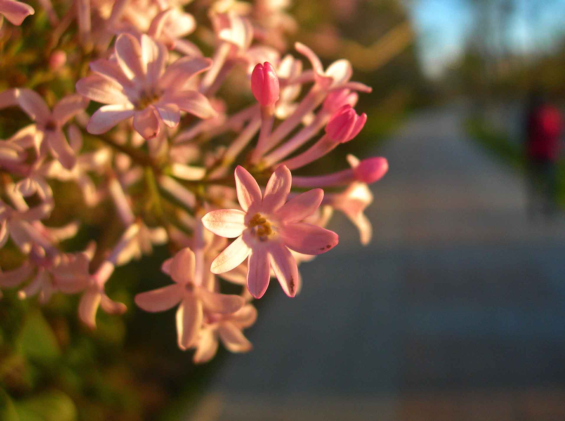 8DSCN4929-3.jpg