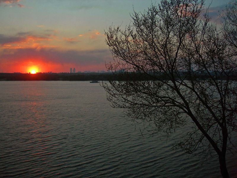 DSCN0868-3.jpg