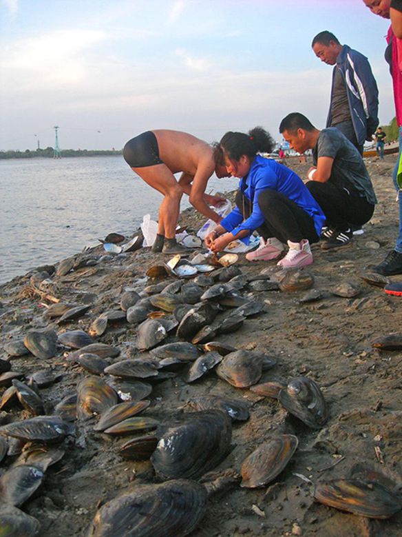 0-DSCN7709-3.jpg