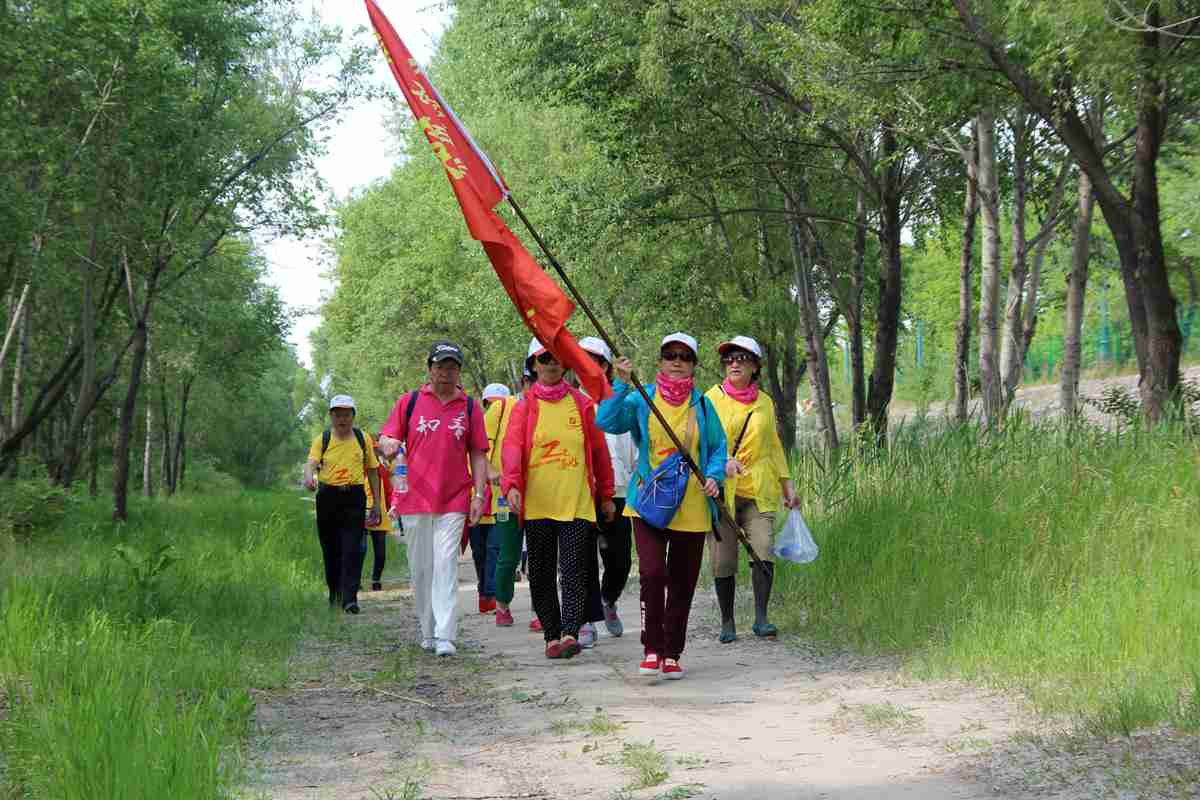 СƬ31.jpg