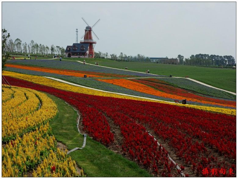 conew_dsc04138__conew1.jpg