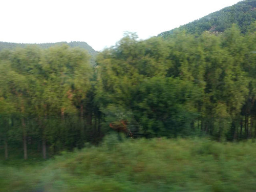 QQͼƬ20170801082445.jpg