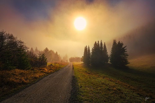 Janek Sedlar09.jpg