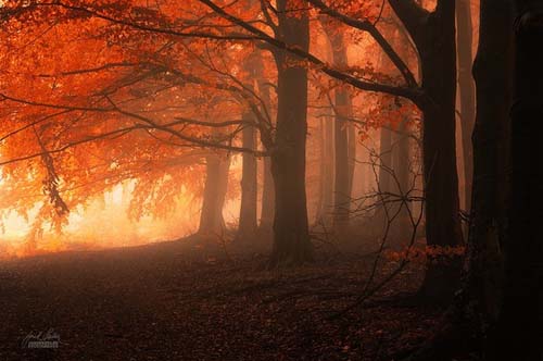 Janek Sedlar01.jpg