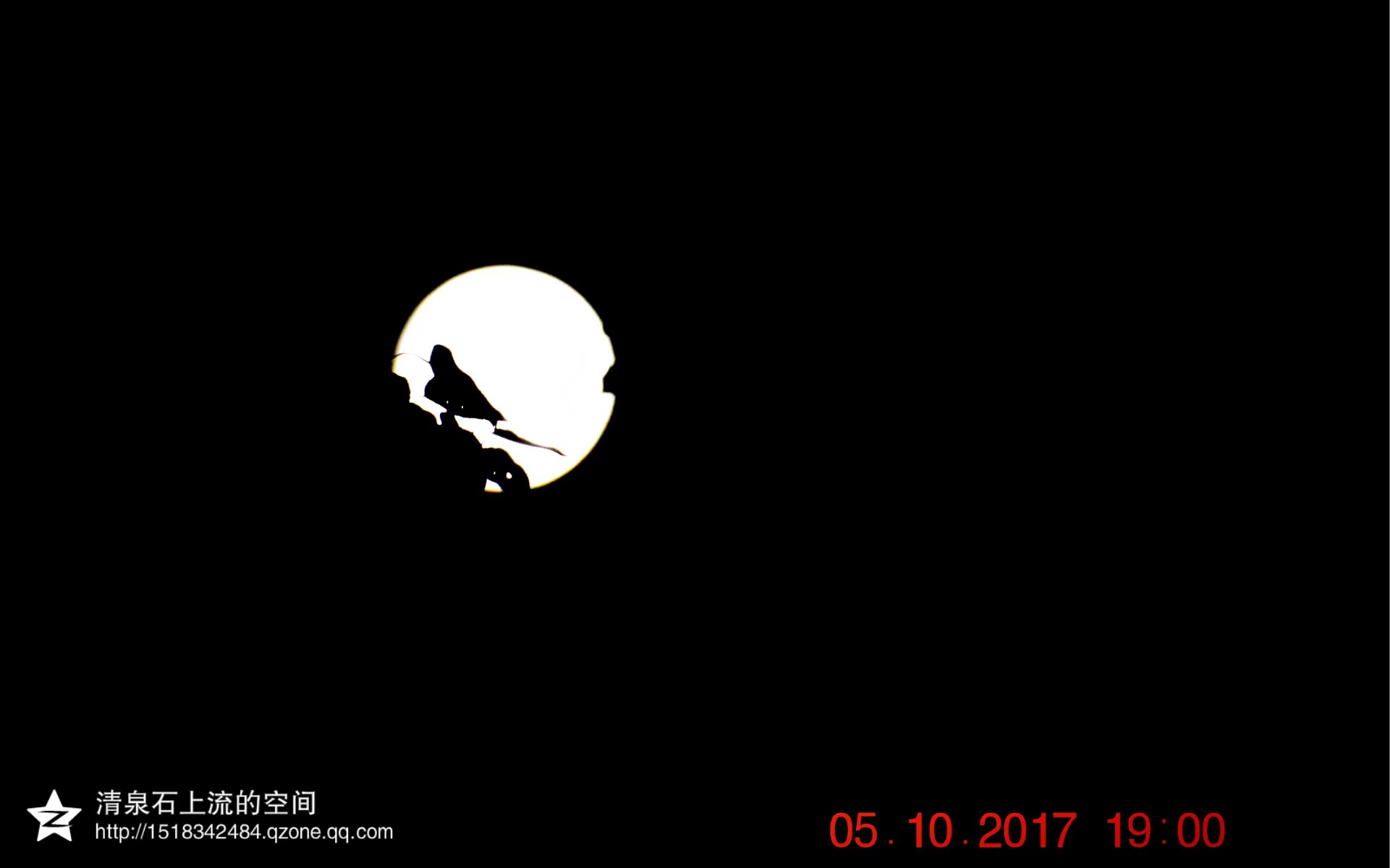 1507250227327.jpeg