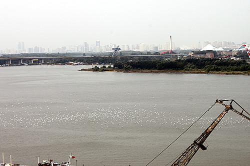IMG_7590_.jpg