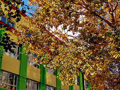 IMG_20171030_114947_HDR_.jpg