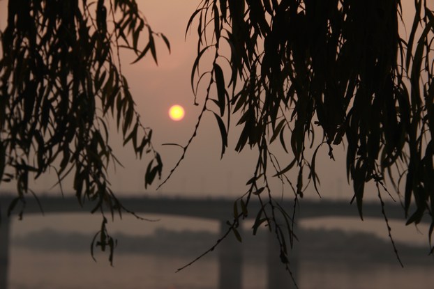 IMG_9432.JPG