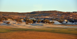 _DSC0016_.jpg
