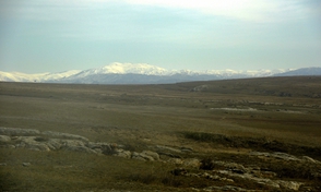 _DSC0196_.jpg