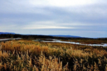 _DSC0236_.jpg