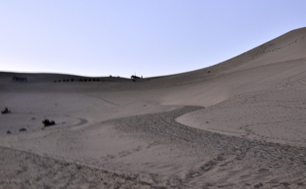 _DSC0587_.jpg