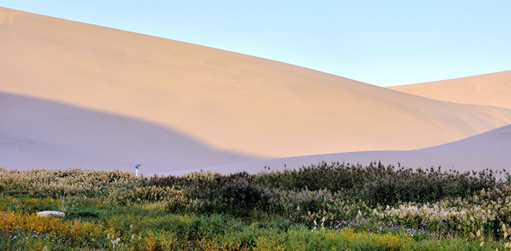 _DSC0636__.jpg