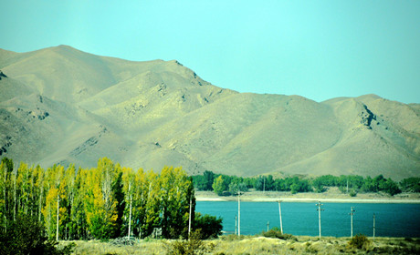 _DSC0930_.jpg