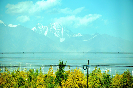 _DSC0909_.jpg