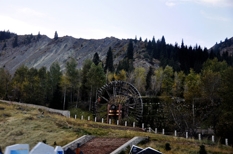 _DSC0967_.jpg