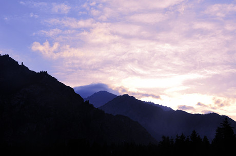 _DSC0984_.jpg