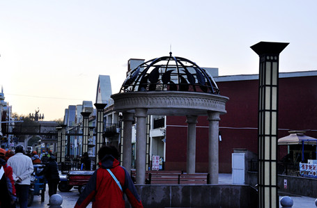 _DSC0019_.jpg