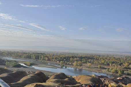 _DSC0043_.jpg