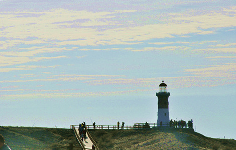 _DSC0124_.jpg