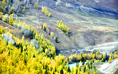 _DSC0432_.jpg